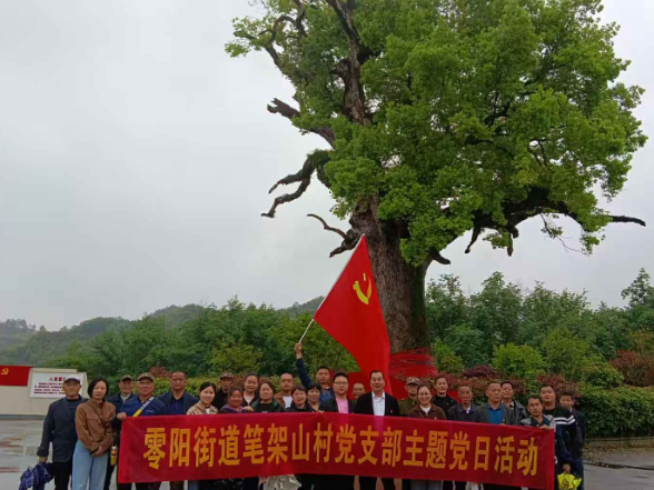 古树下忆初心 红址前担使命 ——零阳街道笔架山村党支部主题党日活动纪实