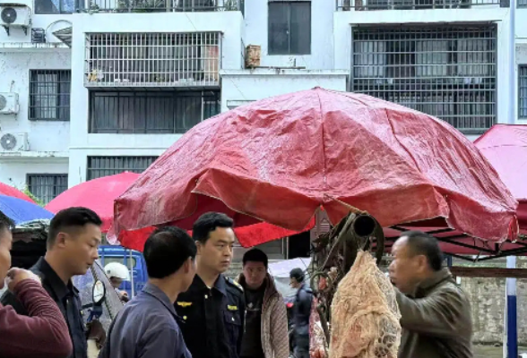 金岩土家族乡：开展市场综合整治行动 规范集市经营秩序