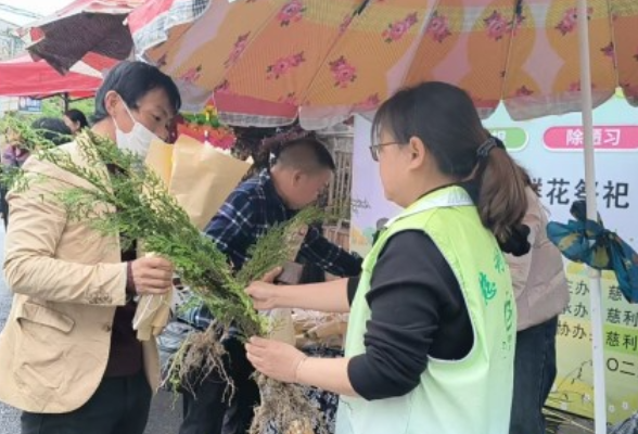 零阳街道南街社区：文明祭祀寄哀思 绿色清明树新风
