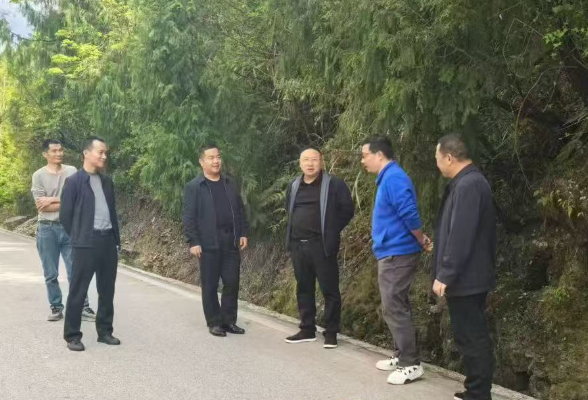 高峰土家族乡：县乡联动，共同破解道路交通安全隐患难题