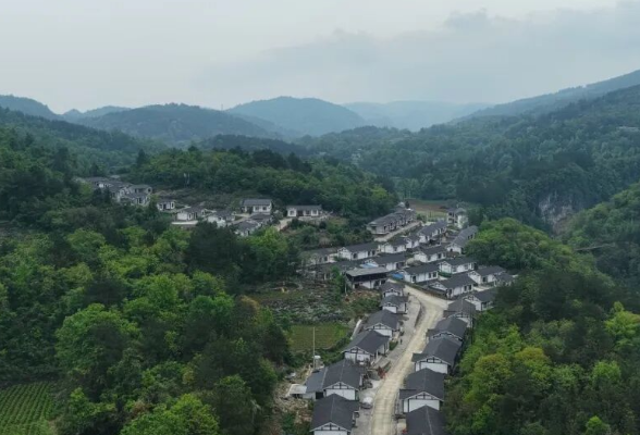 听障员工建议“种菜省钱”  “幸福车间”里绘就共富图景