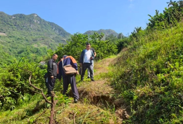 慈利县零溪镇：排查地质安全隐患 筑牢山区防护防线