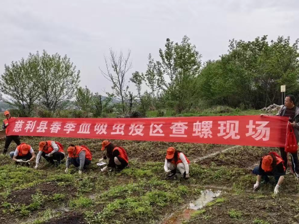 春查钉螺护民生 疾控筑牢血防“安全线”