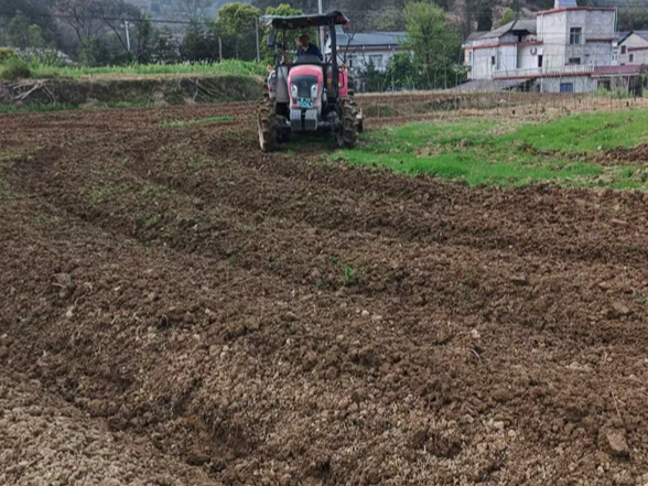 慈利县零溪镇朝阳村：清明雨润沃野  春耕奋进正酣