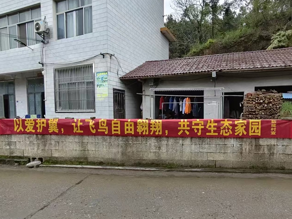 二坊坪镇：开展爱鸟周宣传活动 共护生态和谐家园