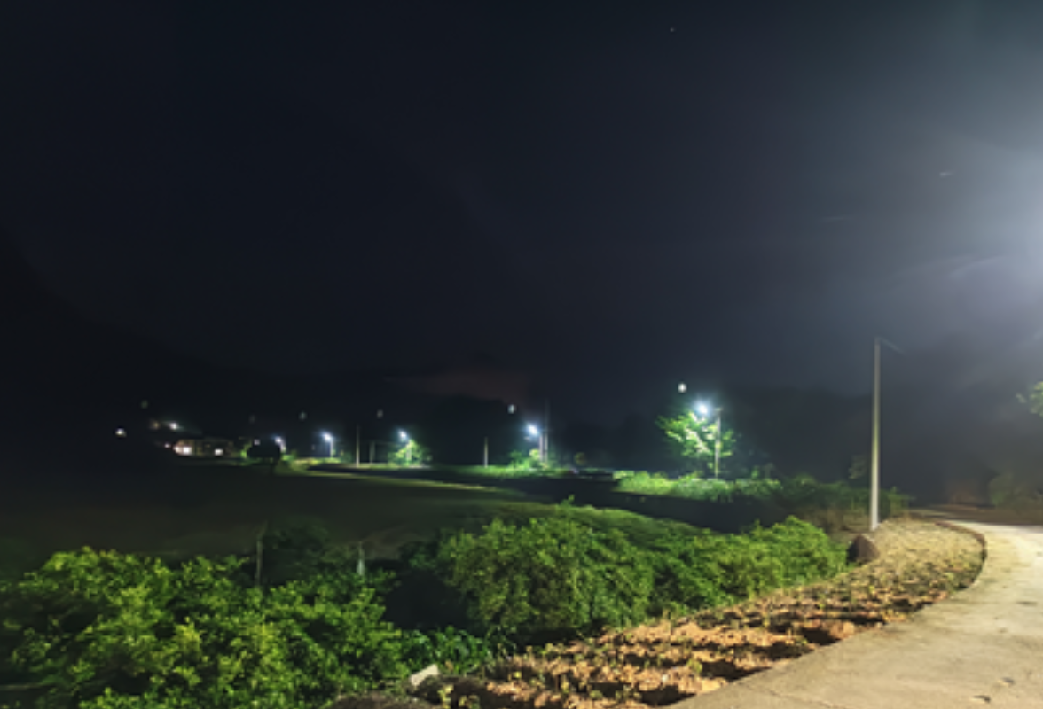 办好“民生微实事” 点亮“乡村振兴路”——零溪镇新红村道路亮化提质工程全面完工
