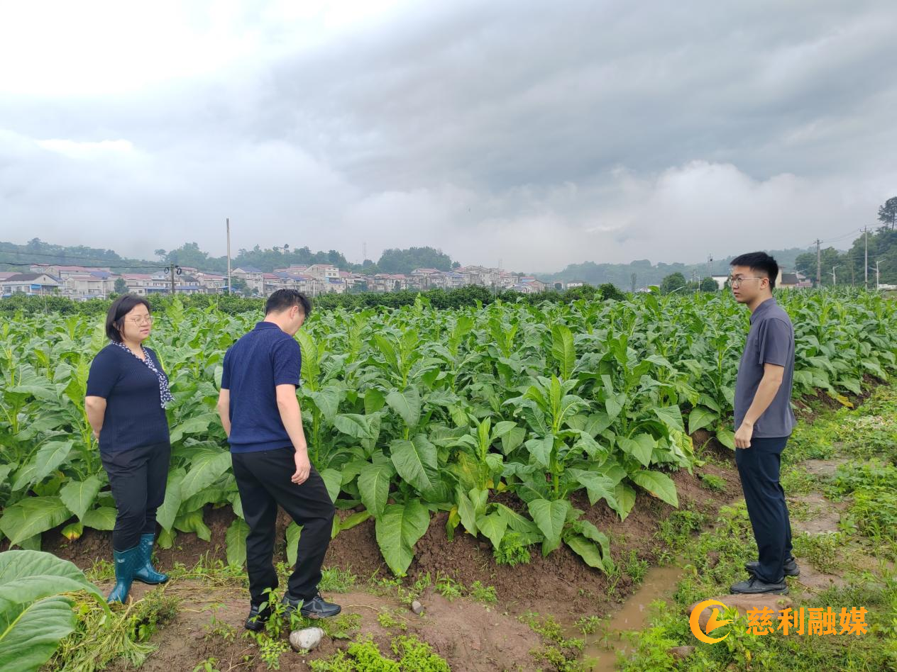 微信图片_20260524121147_341_24.png 微信图片_20260524121147_341_24.png