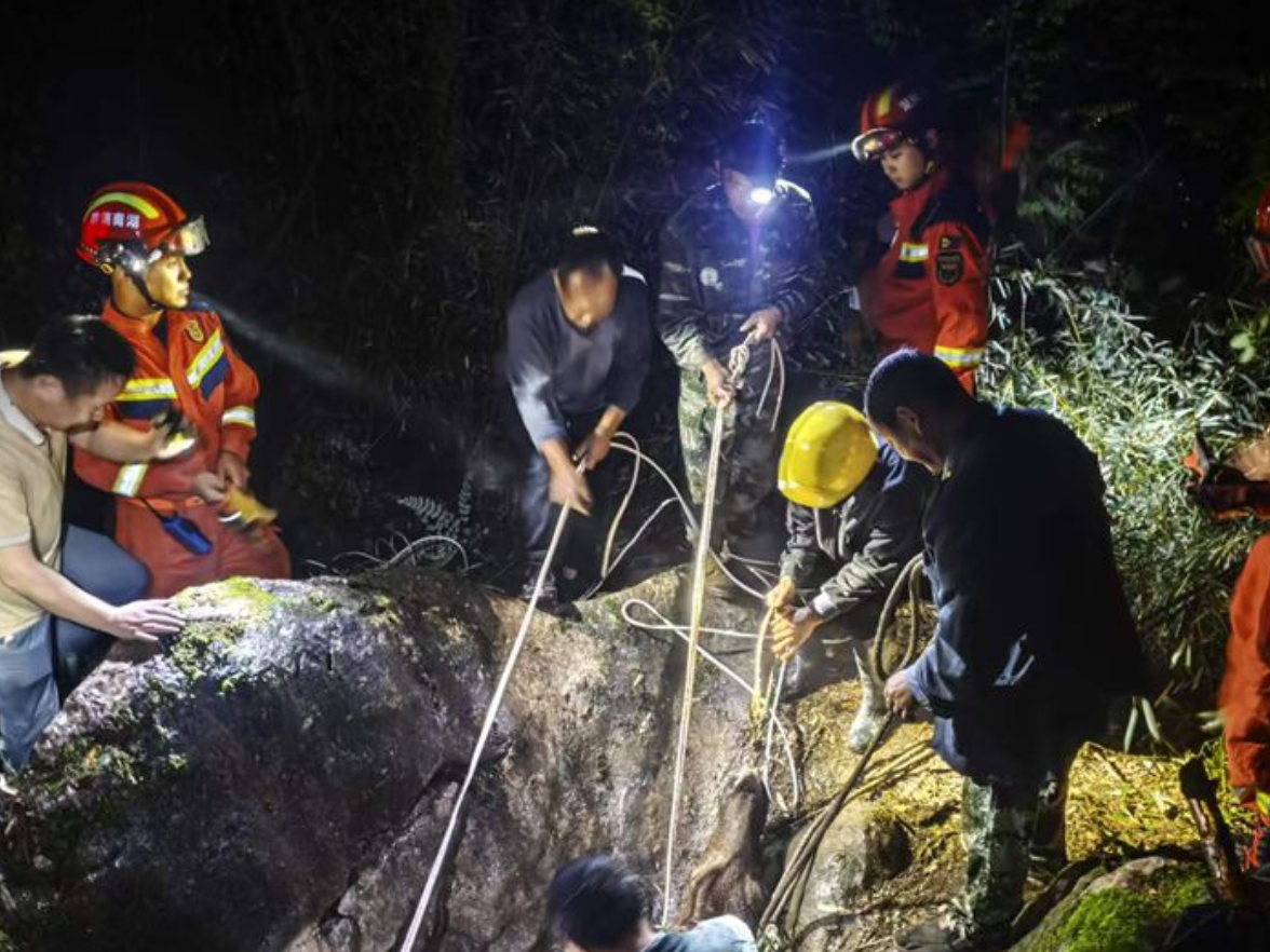 金慈街道垭门关村：雨夜干群齐心救援，3头坠崖牛成功脱险