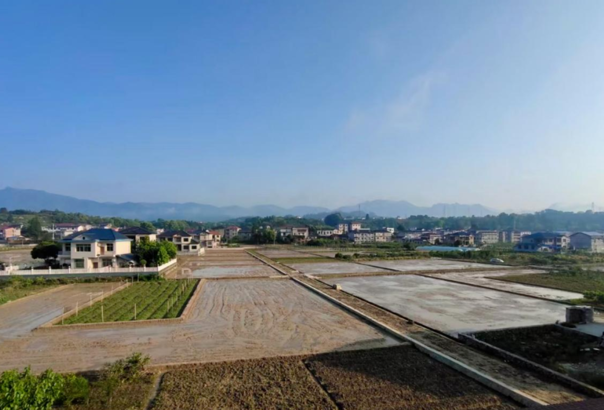 县自然资源局：耕地置换赋能春耕 改革创新筑牢粮仓