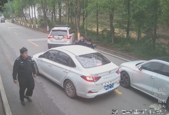 拦截！慈利公安多警联动抓获2名窃贼
