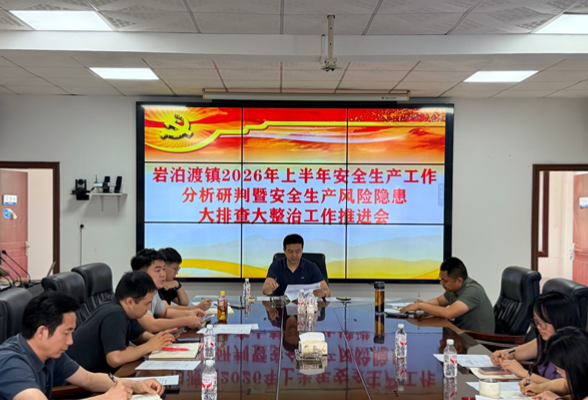 岩泊渡镇：聚焦风险除隐患，拧紧生产“安全阀”