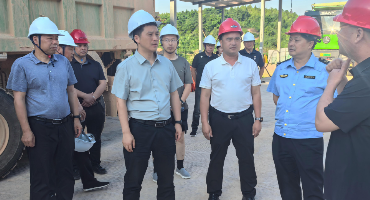 姜华现场调度省生态环境保护督察“回头看”信访投诉重点交办件整改工作