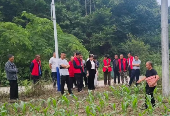 高桥镇皂泥峪村：把农家书屋搬进了田地里