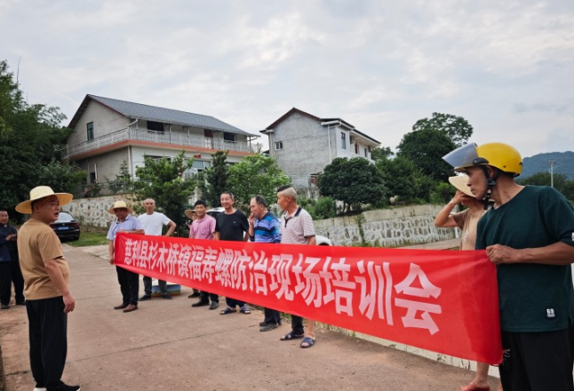 杉木桥镇：快速响应 守护农田“螺”防线