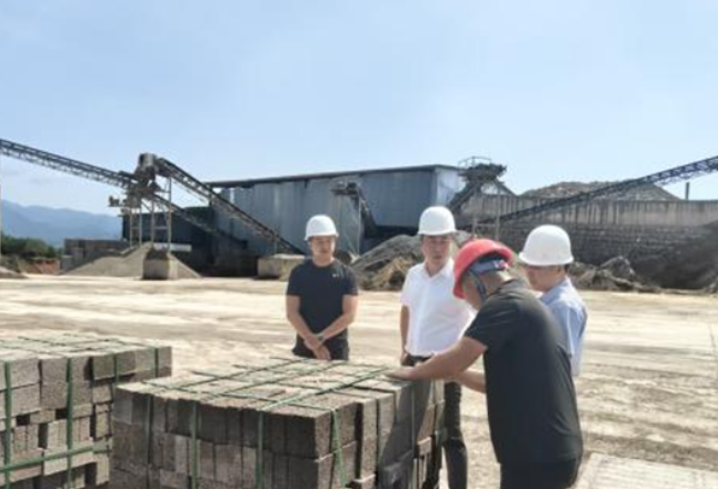 县领导带队深入岩泊渡镇督导检查安全生产工作