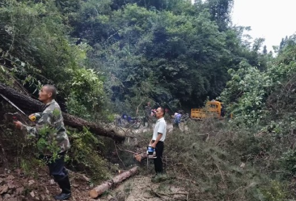 龙潭河镇潘坪村：闻汛而动 清障保通