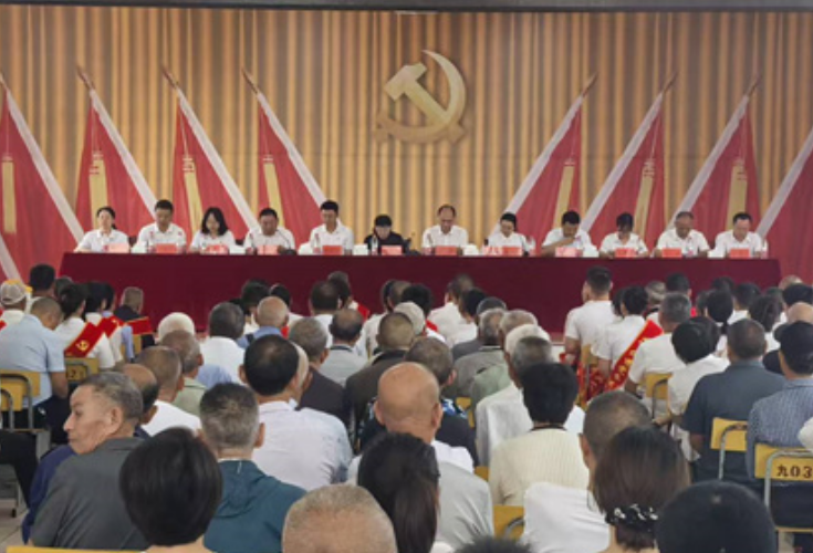 慈利县象市镇召开优秀共产党员、优秀党务工作者和先进基层党组织表彰大会