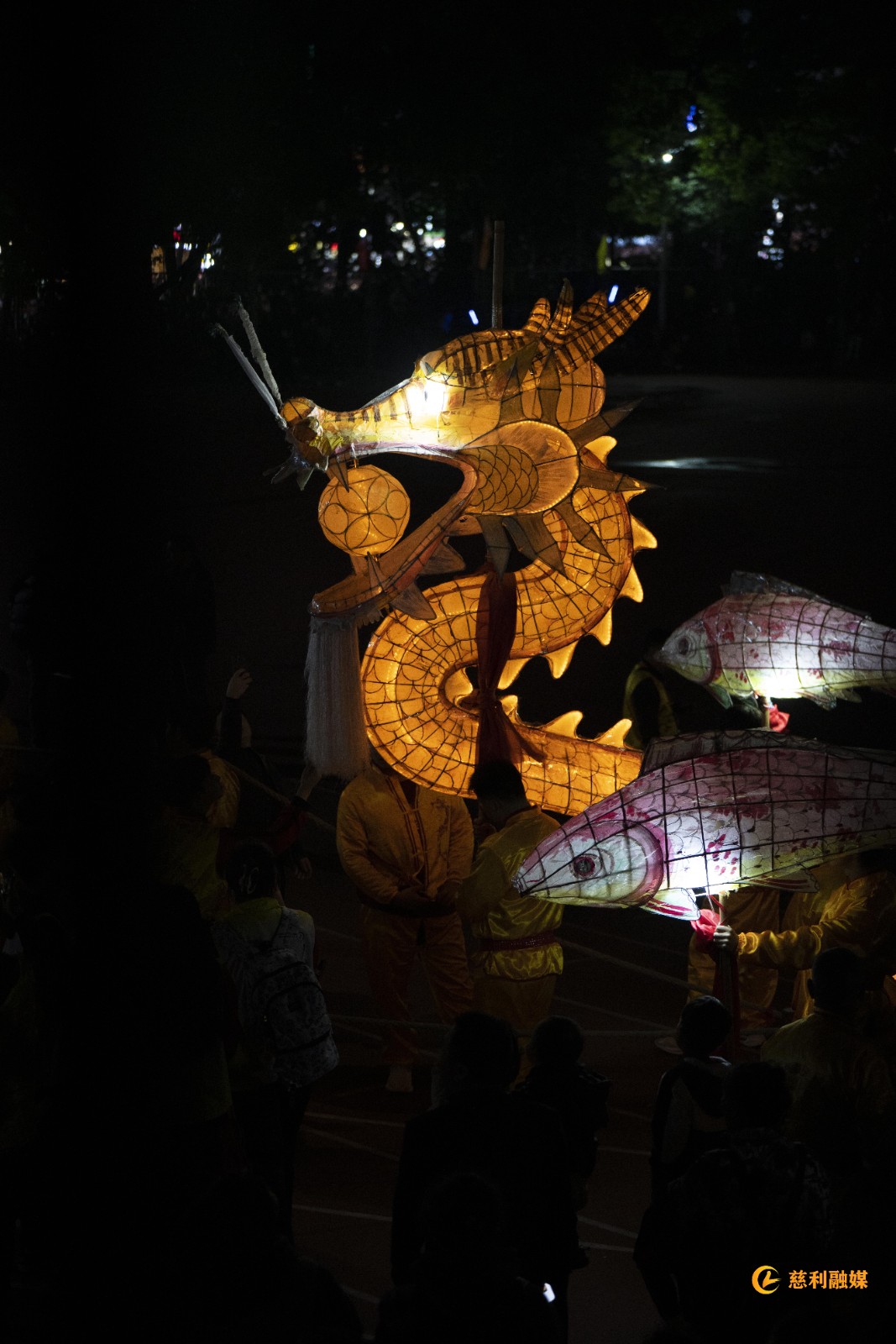图片9.jpg 图片9.jpg