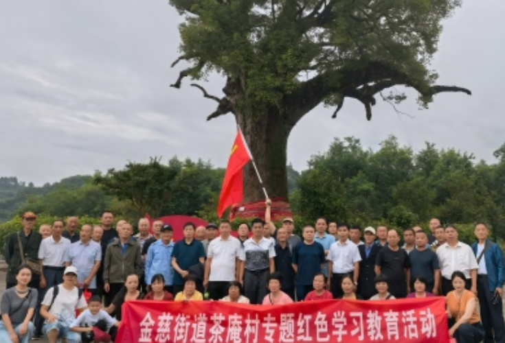 追寻红色足迹 汲取奋进力量——金慈街道茶庵村开展党员红色研学活动