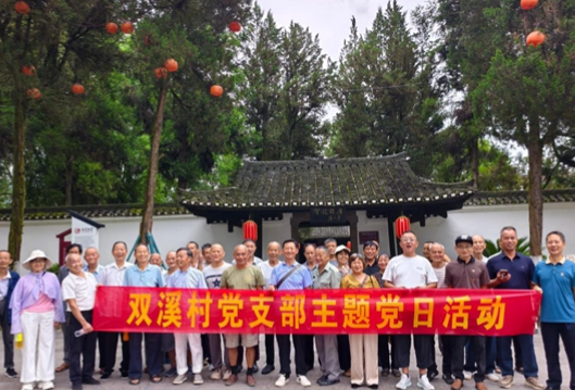 岩泊渡镇双溪村：追寻红色足迹 汲取奋进力量