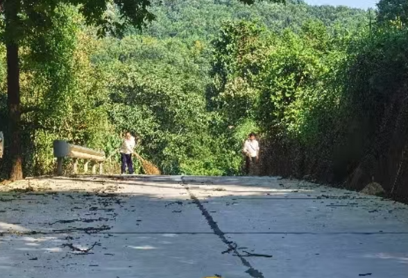 龙潭河镇水坪村：清晨党群齐清扫 洁净乡路惠民生