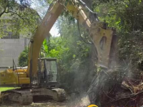 高峰土家族乡雪莲村：党建引领办实事 组道改造暖民心