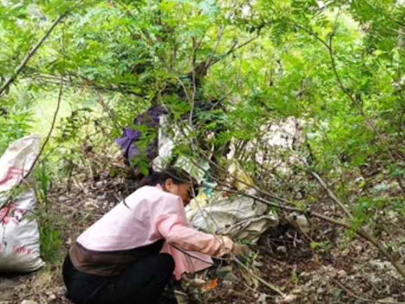 零溪镇：清河净滩护生态 碧水清流润民心