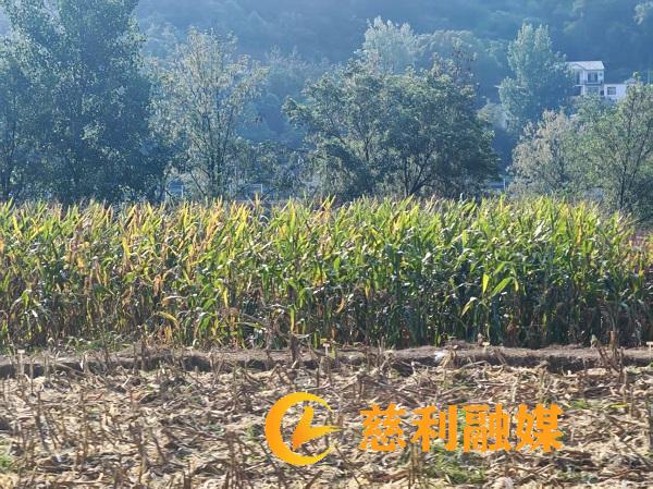 cf32cdb767a29beff79d48db3ce91faa.jpg