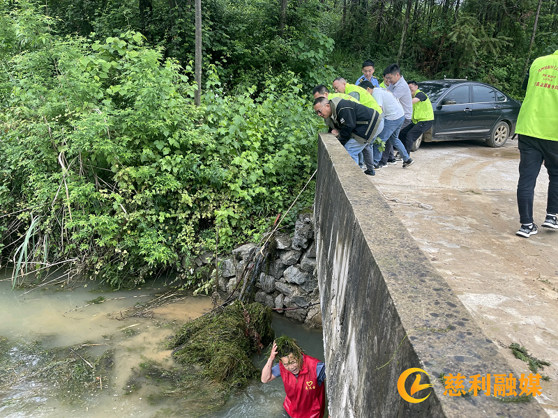 图片(204).png 图片(204).png