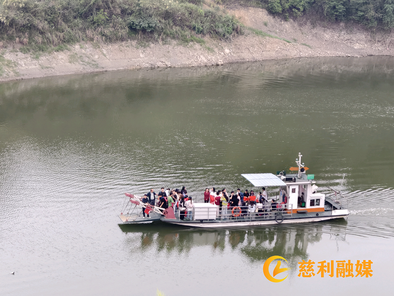 图片(231).png