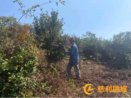 图片10.12.1.png 图片10.12.1.png
