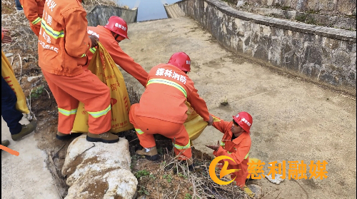 微信图片_20260313111951_1_2.jpg 微信图片_20260313111951_1_2.jpg