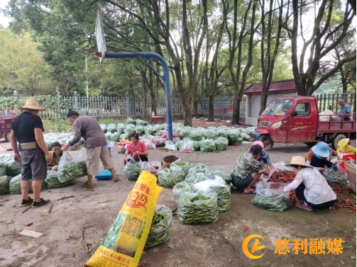 图片8.28.1.png
