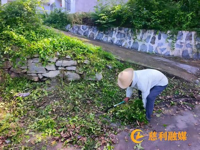 图片10.png