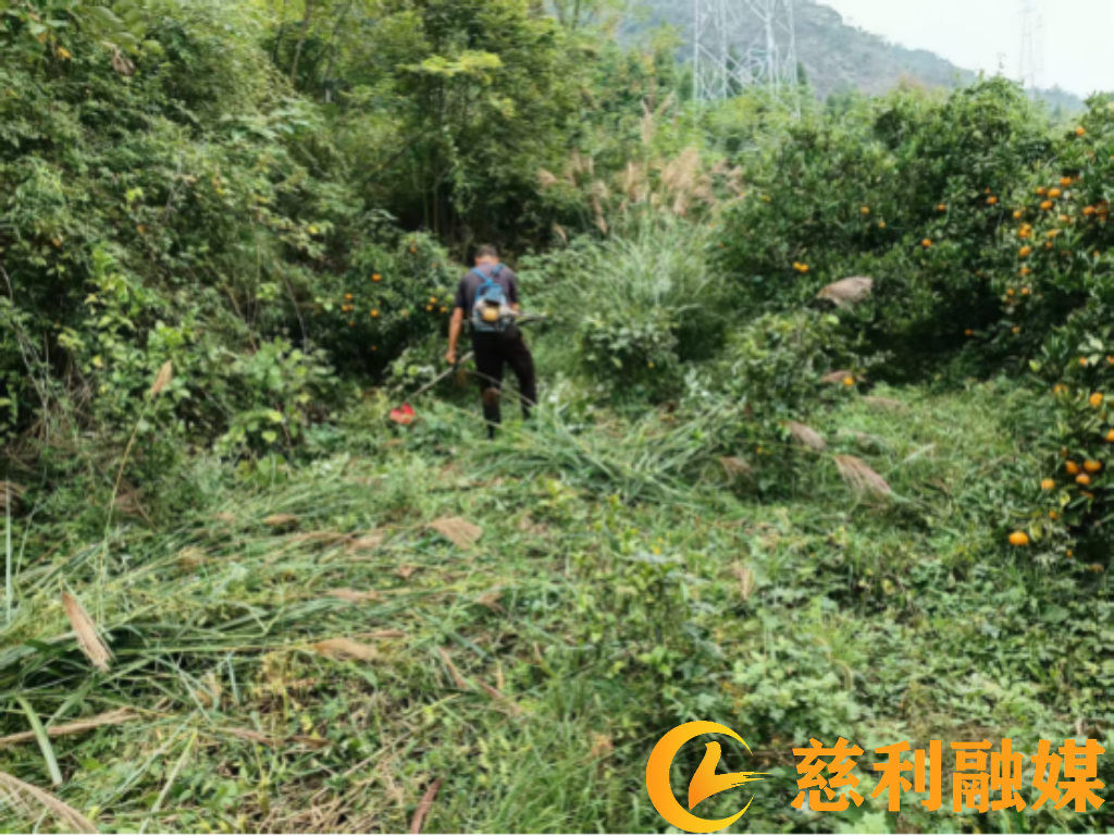 微信图片_20261026170042_943_3.png 微信图片_20261026170042_943_3.png