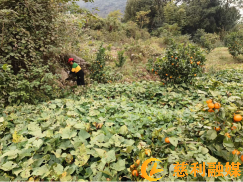 微信图片_20261026170039_942_3.png 微信图片_20261026170039_942_3.png