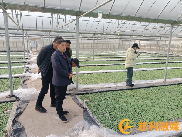 微信图片_20260227083700_174_170_副本.jpg 微信图片_20260227083700_174_170_副本.jpg