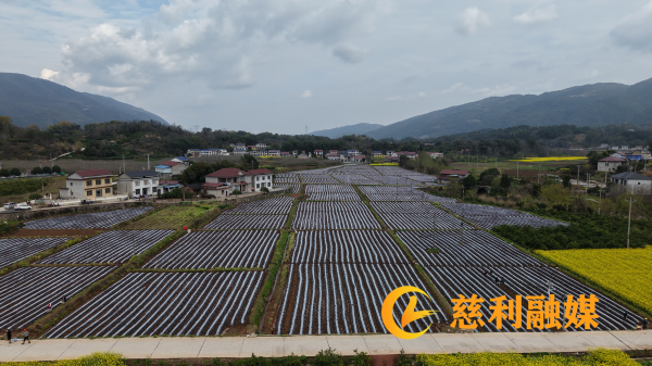 图片2_副本.png 图片2_副本.png