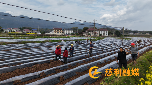 图片1_副本.png 图片1_副本.png