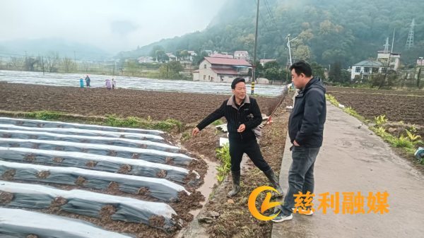 图片3_副本.png 图片3_副本.png