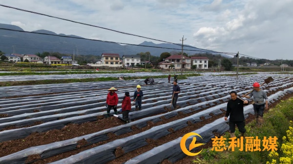 6d17b70c5e934e91089713748d9a5c38.jpg 6d17b70c5e934e91089713748d9a5c38.jpg