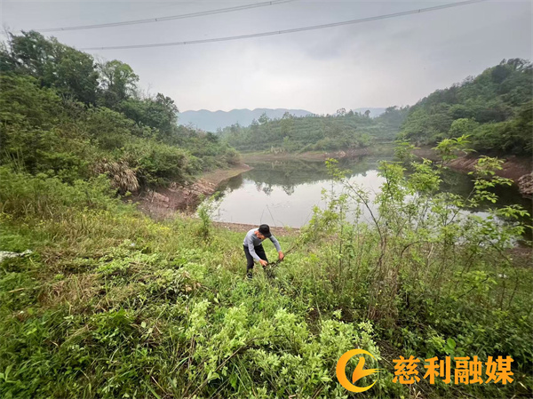 水库砍青_副本.jpg
