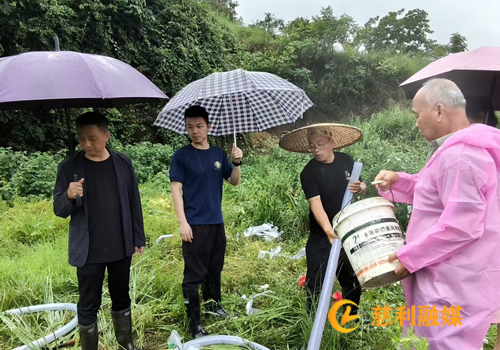微信图片_20250621144244副本.jpg