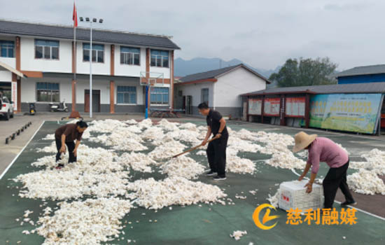 微信图片_20260920100632_681_62副本.jpg 微信图片_20260920100632_681_62副本.jpg