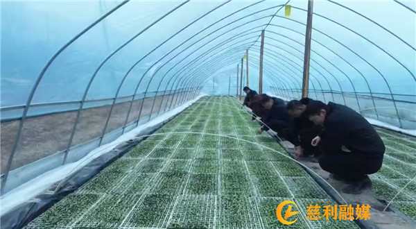 微信图片_20250225154423_副本.jpg