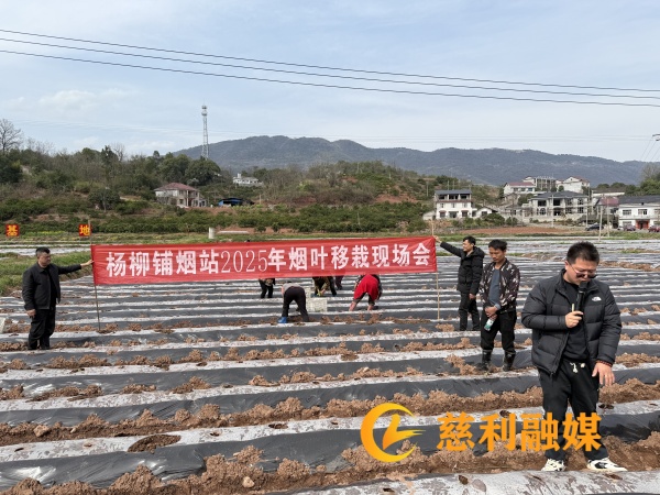 现场会横幅1_副本.jpg