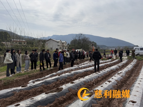 现场会观摩2_副本.jpg