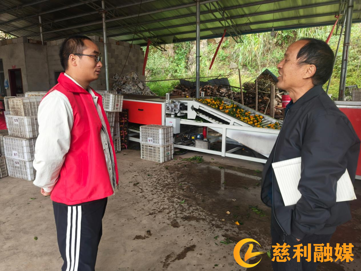 图片3 (1).png