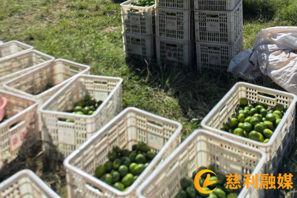 图片5 (1) (1).png 图片5 (1) (1).png
