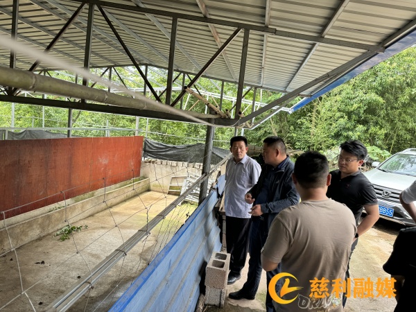 0b1e3542a0bc4a8a504ca41536e3e74.jpg 0b1e3542a0bc4a8a504ca41536e3e74.jpg